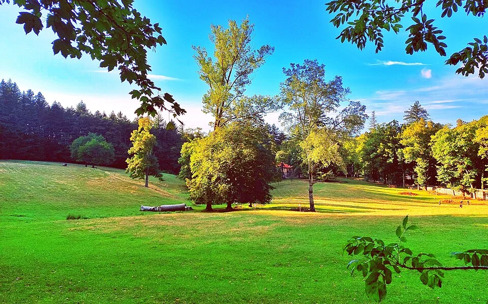 Vallombrosa field