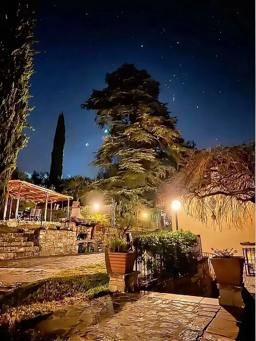 Il monumentale Cedro del Libano di oltre 600 anni sotto il cielo stellato di Agriturismo Tassinaia