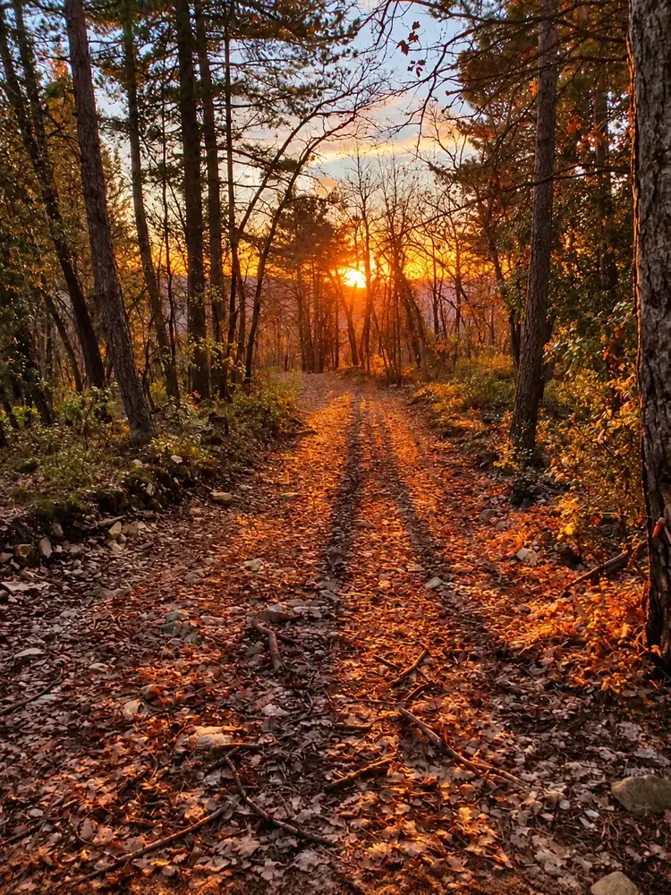 Autunno in Toscana vicino Firenze: Chianti Rufina e foliage